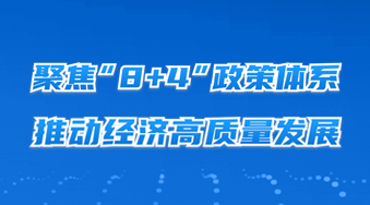 聚焦“8+4”政策體系，推動經濟高質量發展