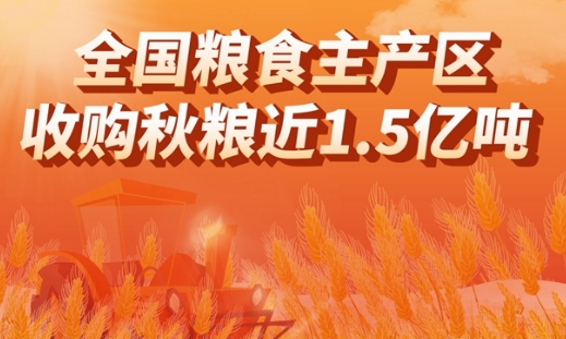 圖表：全國糧食主產區收購秋糧近1.5億噸