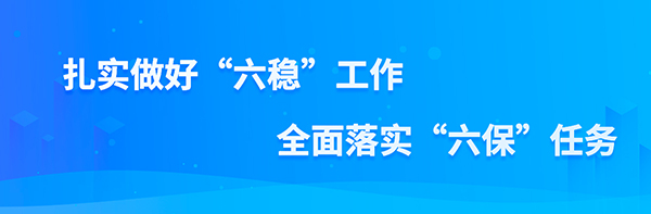 扎實做好“六穩”工作 全面落實“六保”任務